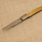 Pala 1