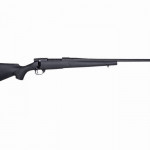 Obsidian Weatherby Vanguard