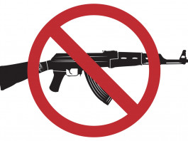 Canada vieta 179 armi semiautomatiche Canada vieta 179 armi semiautomatiche