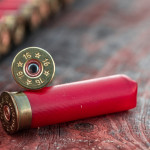 Verso un divieto (quasi) generale di usare le munizioni in piombo? Verso un divieto (quasi) generale di usare le munizioni in piombo?