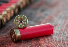 Verso un divieto (quasi) generale di usare le munizioni in piombo? Verso un divieto (quasi) generale di usare le munizioni in piombo?