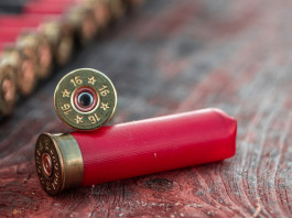 Verso un divieto (quasi) generale di usare le munizioni in piombo? Verso un divieto (quasi) generale di usare le munizioni in piombo?