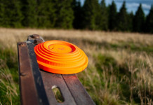 Coppa del mondo di tiro, niente podio per l’Italia del trap Coppa del mondo di tiro, niente podio per l’Italia del trap