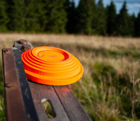 Coppa del mondo di tiro, niente podio per l’Italia del trap Coppa del mondo di tiro, niente podio per l’Italia del trap