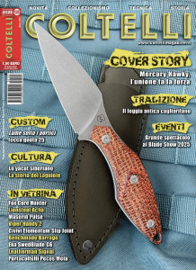 Cover Coltelli 125