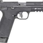 Smith & Wesson M&P 22X