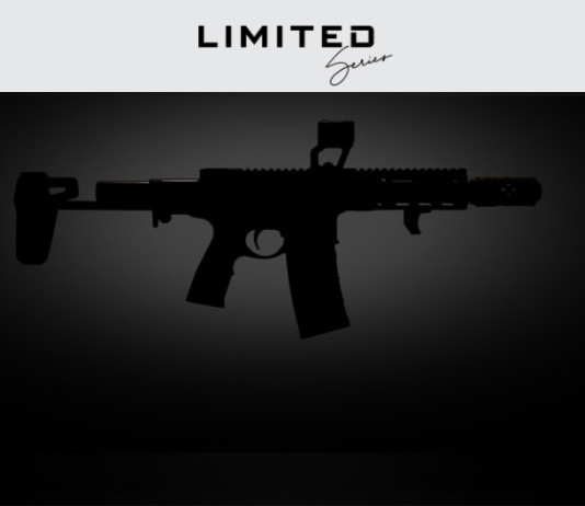 Daniel Defense pronta a svelare la Riptide, #26 della Limited series Daniel Defense pronta a svelare la carabina #26 della Limited series