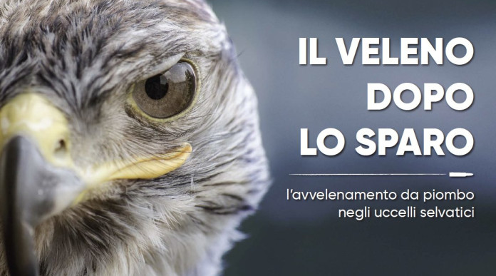 “Il veleno dopo lo sparo” a Venzone un convegno su piombo e caccia