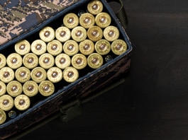 Omessa custodia di munizioni: la sentenza del Consiglio di Stato Omessa custodia di munizioni: la sentenza del Consiglio di Stato