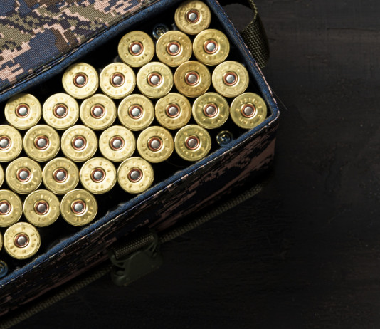 Omessa custodia di munizioni: la sentenza del Consiglio di Stato Omessa custodia di munizioni: la sentenza del Consiglio di Stato