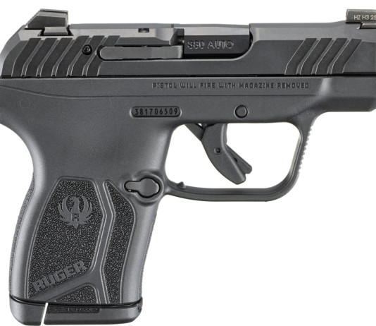 Una nuova finitura sul carrello della Ruger Lcp Max Una nuova finitura sul carrello della Ruger Lcp Max