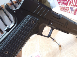 A Revere (Mn) i prossimi Bignami Day A Revere (Mn) i prossimi Bignami Day