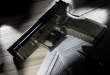 Quanti background check hanno chiesto gli americani nel 2025? Quanti background check hanno chiesto gli americani nel 2025?