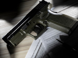 Quanti background check hanno chiesto gli americani nel 2025? Quanti background check hanno chiesto gli americani nel 2025?