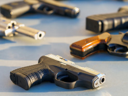 Statistiche su armi e legittima difesa nel 4° rapporto Censis sulla sicurezza della casa Statistiche su armi e legittima difesa nel 4° rapporto Censis sulla sicurezza della casa