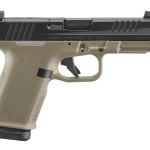 flat dark earth ruger rxm