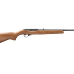 32009 ruger 10-22