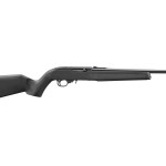 32012 ruger 10-22