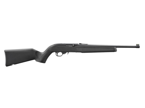 32012 ruger 10-22