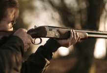 Beretta aggiorna il 687 Silver Pigeon III Beretta aggiorna il 687 Silver Pigeon III