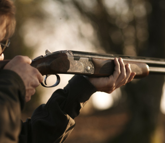 Beretta aggiorna il 687 Silver Pigeon III Beretta aggiorna il 687 Silver Pigeon III