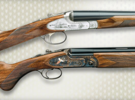 Collaborazione tra Fausti e Canicom Collaborazione tra Fausti e Canicom