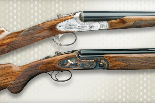 Collaborazione tra Fausti e Canicom Collaborazione tra Fausti e Canicom