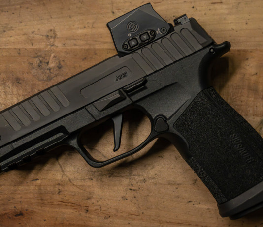 Comp: la Sig Sauer P365 Fuse col compensatore integrato Comp la Sig Sauer P365 Fuse col compensatore integrato