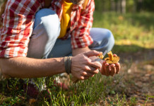 Decreto sicurezza: Cai Alto Adige boccia la stretta sui coltelli, «un’assurdità» Decreto sicurezza Cai Alto Adige boccia la stretta sui coltelli un’assurdità