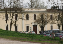 Valentina Turisini chiede di modificare il decreto di riforma dell’Uits Valentina Turisini chiede di modificare il decreto di riforma dell’Uits - sezione Tsn Ferrara