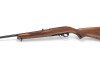 Due Ruger 10/22 col calcio in legno e il grilletto Bx-Trigger Due Ruger 10 22 col calcio in legno e il grilletto Bx-Trigger